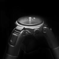 alun-alun-nikonian---part-14