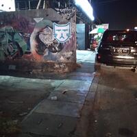 simbol-kucing-dijalan-apa-makna-nya