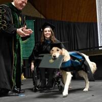 kampus-di-new-york-beri-ijazah-kehormatan-kepada-seekor-anjing