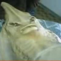 pria-umur-66-tahun-pertama-kali-bertemu-anaknya-setelah-pernah-meninggalkan-anaknya