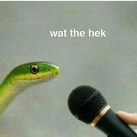 prabowo-akan-rayakan-natal-bersama-keluarga-besar-warganet-undang-habib-bahar