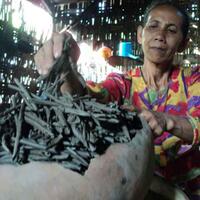 jengger-ayam-hingga-tanah-7-jenis-makanan-tak-lazim-yang-bisa-dicicipi