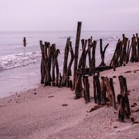 alun-alun-nikonian---part-14