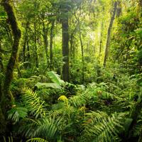 5-suara-misterius-yang-sulit-dijelaskan-oleh-ilmu-pengetahuan