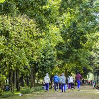 new-pendopo-sony-alpha---part-2