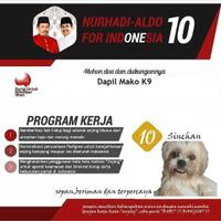 lukisan-yang-dibuat-anjing-ini-dijual-online-seharga-rp-550-ribu