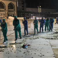 kjri-jeddah-jangkrik-di-masjidil-haram-tak-berbahaya