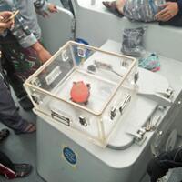 penampakan-cvr-lion-air-pk-lqp-yang-akhirnya-ditemukan