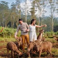 tips-foto-prewedding-tema-konsep-casual