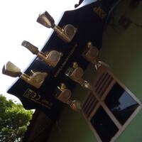 esp-guitars-fans-club-esp-navigator-ltd-edwards-dll