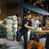 new-pendopo-sony-alpha---part-2