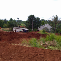 dilema-ketika-hutan-berganti-dengan-beton