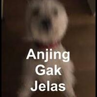 klaim-hak-cipta-palsu-bikin-k-pop-mv-ini-sempat-hilang-di-youtube