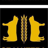 tiga-ekor-sapi-mati-mendadak-dokter-hewan-keracunan-makanan