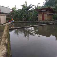 alasan-kenapa-masih-banyak-emak-emak-nyuci-baju-di-kolam--pinggir-kali