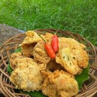 spender-kopascol--kopasbat