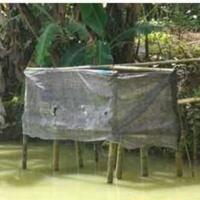 bos-microsoft-membuat-toilet-berteknologi-cacing-sebagai-ganti-air