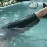 kolam-renang-buatan-atau-alami--kamu-pilih-yang-mana