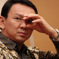 menilik-peruntungan-ahok-di-tahun-babi