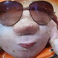 jenis-jenis-tindakan-asusila