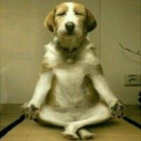 jenis-jenis-tindakan-asusila