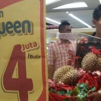 durian-j-queen-rp-14-juta-per-butir