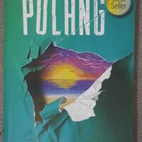 novel-review-pulang-by-tere-liye