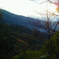 sebuah-bukit-dan-realita
