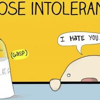 intoleransi-laktosa