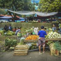 new-pendopo-sony-alpha---part-2