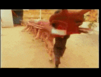 barongsai-bukan-berasal-dari-china--yuk-cari-tau-bareng