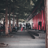 kavling-fujifilm-reborn---part-1