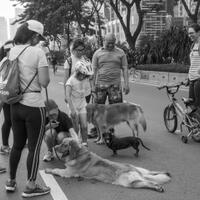 saung-lensa-manual---part-5