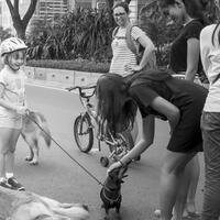 saung-lensa-manual---part-5