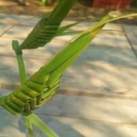 ternyata-di-pasar-warisan-ada-permainan-zaman-dulu-lho