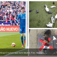 thibaut-courtois-jadi-korban-teror-tikus-saat-derbi-madrid