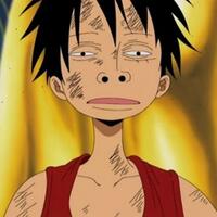 luffy-is-the-future-pirate-king--no-way