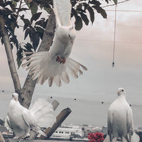 ijepret---share-your-moment-here