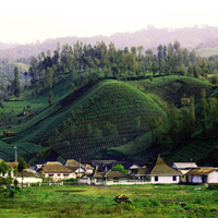 ranu-pani---salah-satu-desa-tertinggi-di-indonesia