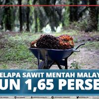 harga-kelapa-sawit-mentah-malaysia-turun-165-persen