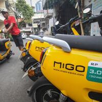 keberadaan-migo--diharamkan--manajemen-siap-berbenah