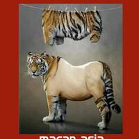 pendukung-prabowo-laporkan-jokowi-ke-bawaslu-soal-dugaan-serangan-personal