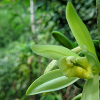 kualitas-kamera-smartphone-jelek--coba-main-aliran-foto-ini