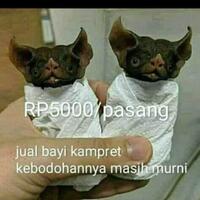 gerindra-jokowi-dapat-masukan-salah-soal-tanah-prabowo