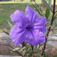 kualitas-kamera-smartphone-jelek--coba-main-aliran-foto-ini