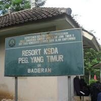 pendakian-gunung-argopuro