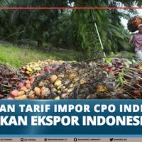kebijakan-tarif-impor-cpo-india-lemahkan-ekspor-indonesia