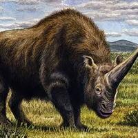 korut-klaim-temukan-sarang-kuda-quotunicornquot-dan-pernah-ditunggangi-oleh-raja