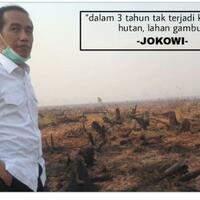 ada-843-hektare-lahan-terbakar-di-riau-kurang-dari-dua-bulan