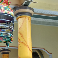 mitos-atau-fakta-katanya-burung-ini-pembawa-rezeki